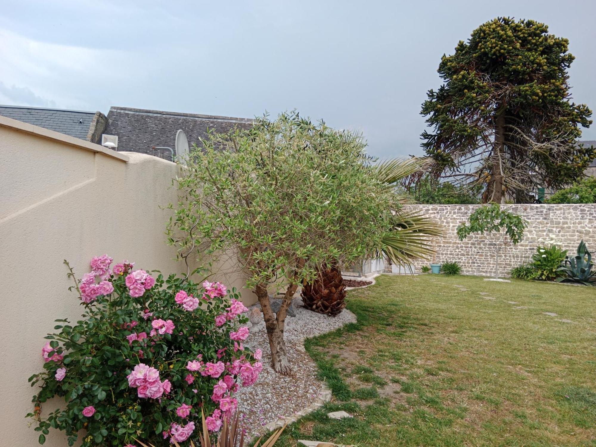 Les Palmiers Bed & Breakfast Bayeux Exterior photo
